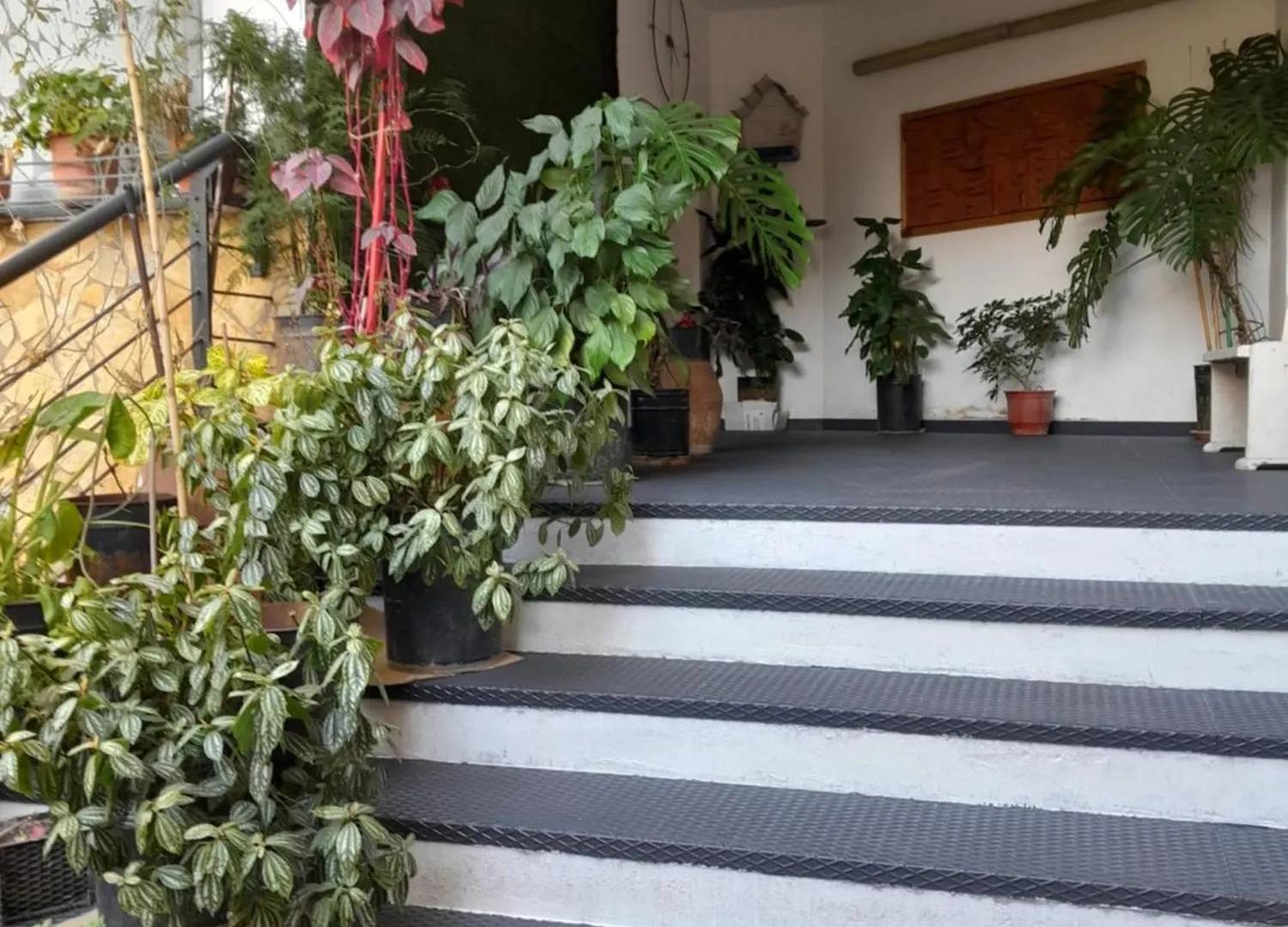 טיראנה Kristi Apartments 01 0*,  אלבניה